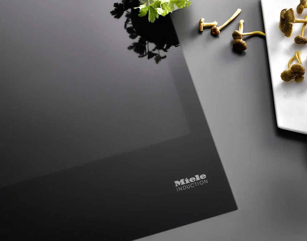 Anafe de Inducción sin marco