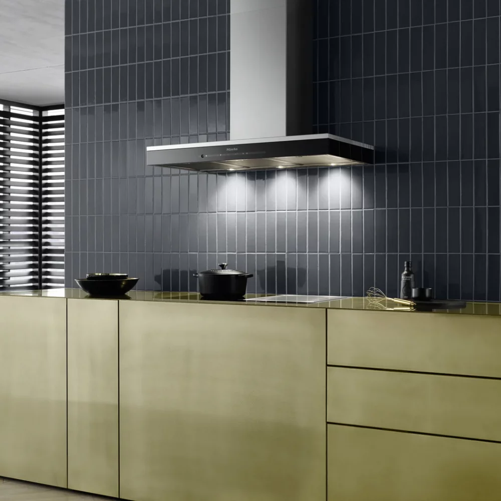 Extractor de pared