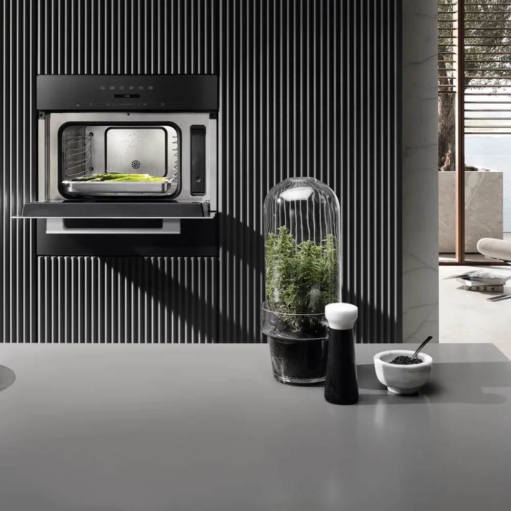 Horno a vapor con microondas